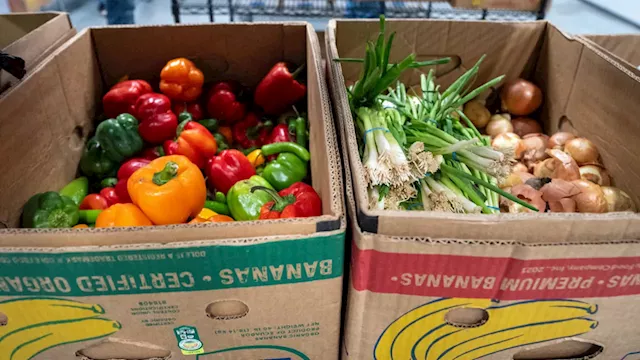 Newsroom Ready: Vancouver Rescued Food Market overwhelmed by customers amid affordability crisis