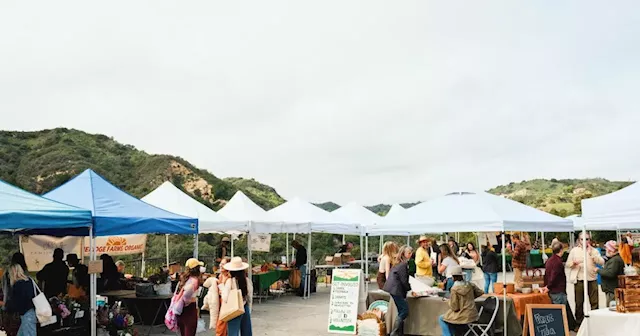 The Topanga Farmers Market is back. To find it, head for the hills