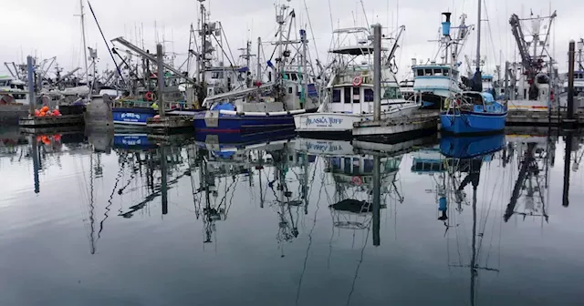 Leading Alaska legislators propose task force to help rescue a seafood industry ‘in a tailspin’