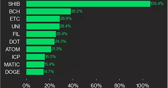 SHIB's 106% Move Higher Led CoinDesk 20 Gainers Last Week: CoinDesk Indices Market Update