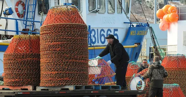 Starting on time crucial for N.L.'s crab fishery stability: Market analyst says delays would be 'very damaging' economically