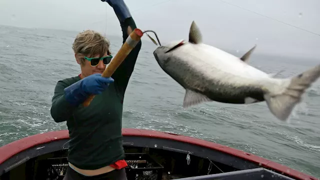 Salmon fishing is banned off the California coast for the second year in a row amid low stocks