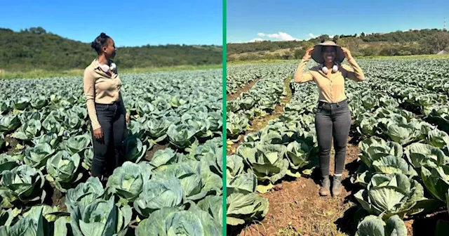 Young Woman's Cabbage Business Goes Viral, Inspires Mzansi with Impressive Sales