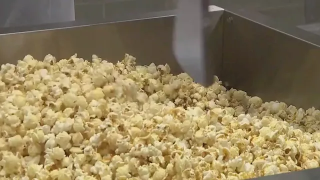 New popcorn company helps those on autism spectrum bring kernels of love to the people