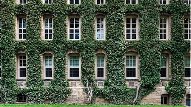 Elite Ivy League Schools Offer Higher Return on Investment