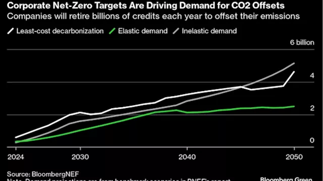 Inside the Controversy That's Divided the Carbon Offsets Market