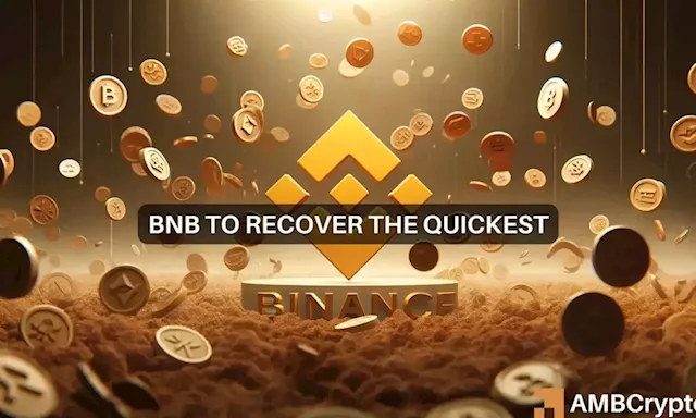 BNB ‘beats’ the market crash – Here’s what you should know