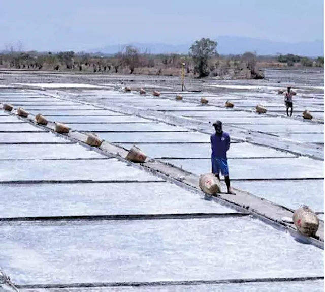 DENR set to map public lands for development of salt industry