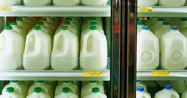 Lakeland reports €8m loss amid once-off restructuring charge and weaker dairy market returns