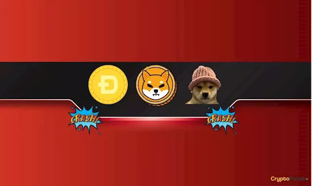 Meme Coin Bloodbath: SHIB, DOGE, WIF Plunge Amid a Broader Market Decline