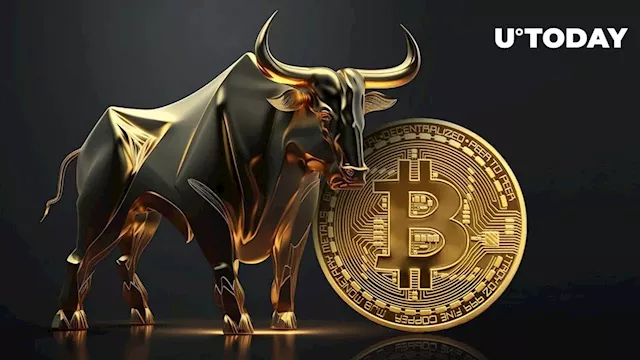 Bitcoin (BTC) Bull Market Depends on This Major Factor: Details