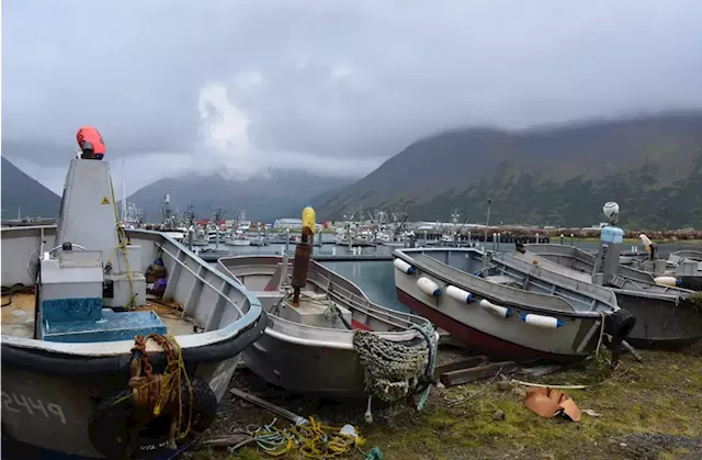 Alaska fishermen and processing plants are in limbo as a state-backed seafood company teeters