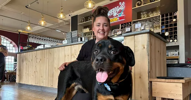 Popular business adds dog menu at new busy location