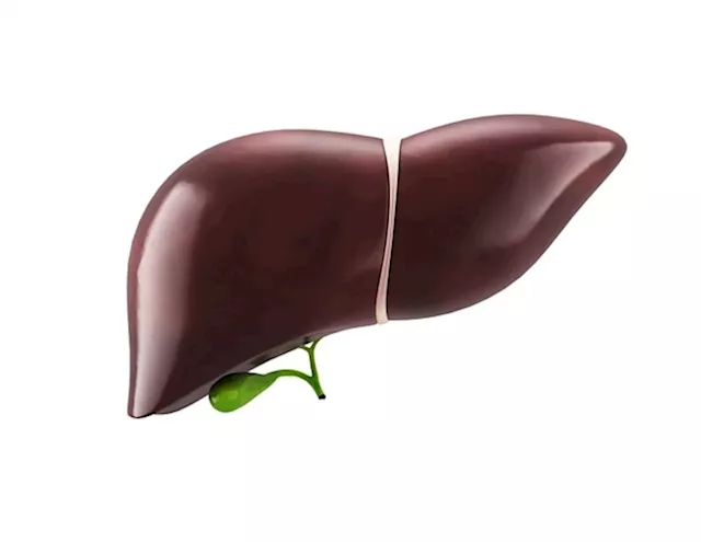 Top pharmaceutical company evaluates Optimer for precision liver medicine