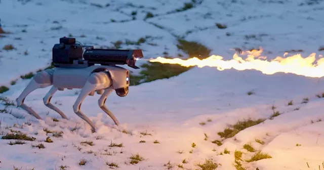 What Could Go Wrong? Company Selling Robot Dog With Attached Flamethrower