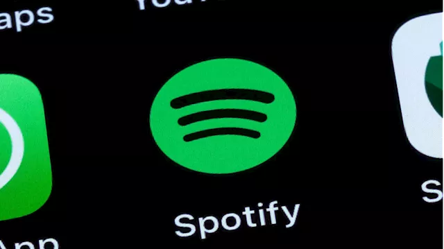 Why Spotify's earnings underline gross margin 'sustainability'