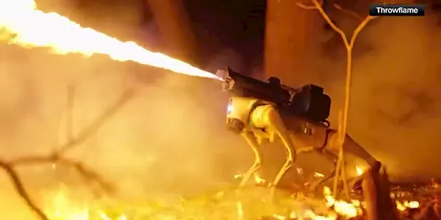 Ohio company launches Thermonator, a flamethrowing robot dog