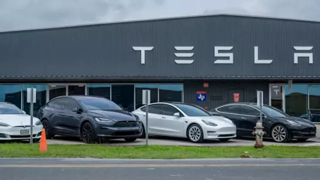 When Tesla shares rise — these 7 stocks have tended to rise too, according to recent history