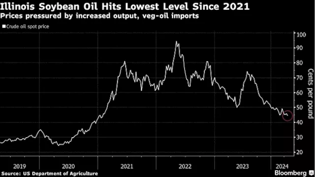 Soaring Imports of Green Diesel Feedstocks Disrupt US Soy Market