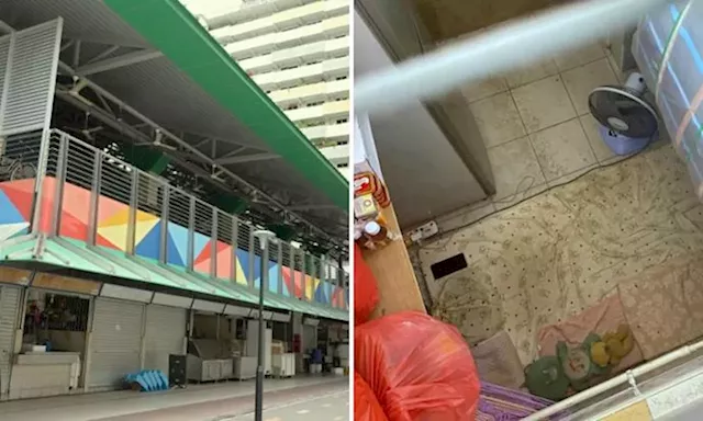 Tin Pei Ling regularly visited wet market where girl lived in stall for 11 months, noticed nothing unusual