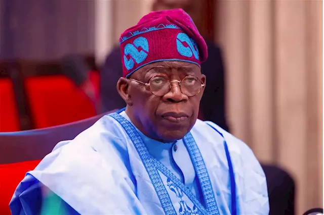 Tinubu secures $600m investment for seaport infrastructure development