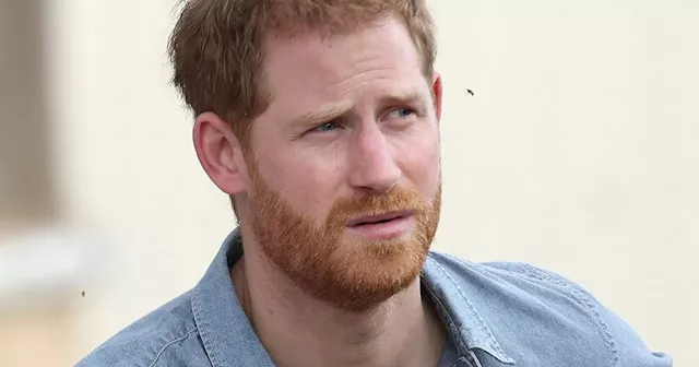 Prince Harry is 'uncomfortable' with huge part of Meghan Markle's new business