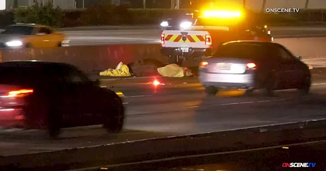 Horse running on busy freeway killed, creating gridlock near City of Industry