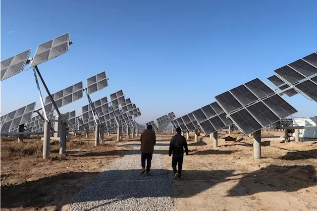 Analysis-China solar industry faces shakeout, but rock-bottom prices to persist