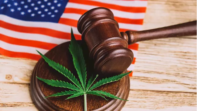 Cannabis industry: DEA reclassification is a 'critical first step'