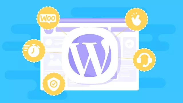 Five reasons your small business needs WordPress Hosting by Domains.co.za