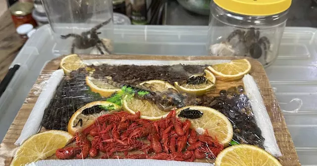 Exotic Food Market in Mexico City