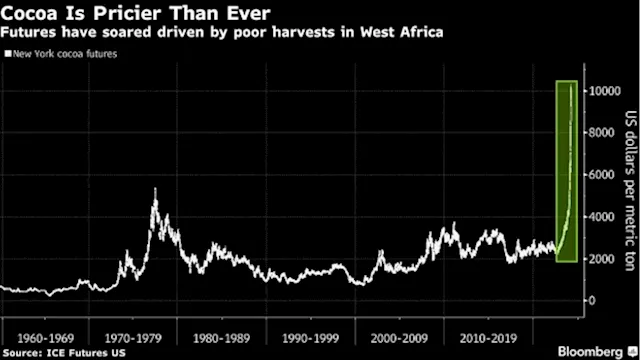 Brazil Cocoa Farms Go High-Tech in Bid to Upgrade Ailing Market