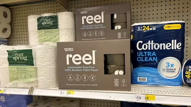 Toilet Paper Industry Faces Disruption as Demand for Sustainable Alternatives Grows