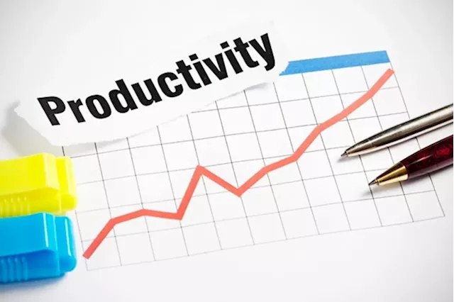 Driving Success: The Impact of Employee Productivity on Business Growth