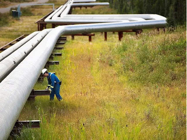 Trans Mountain opens 'pretty vast market,' says Cenovus — but it's likely Canada's last pipeline