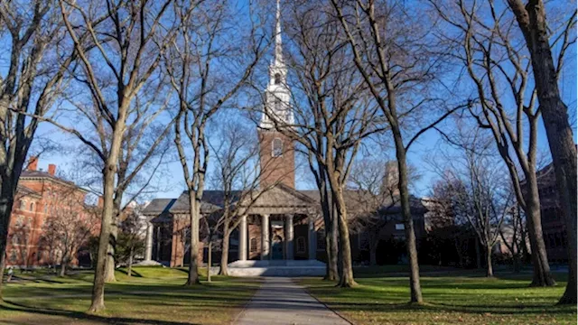 Harvard Cut Endowment Chief’s Pay in 2022 Following Investment Losses