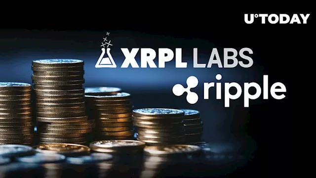 Ripple and XRPL Labs Lead Decentralized Recovery Alliance With Key Industry Players