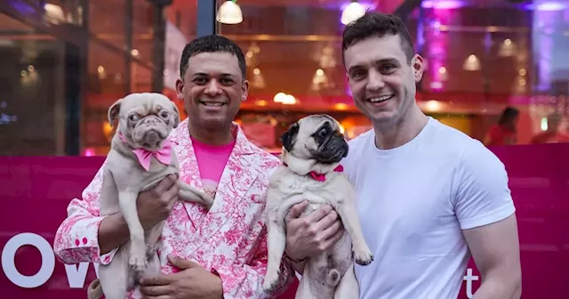 'We opened a pug café so we could own more dogs - now business is booming'