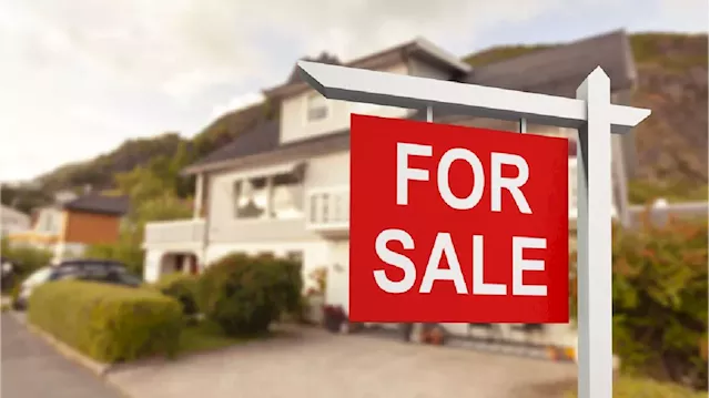 What can your hard-earned money buy you in today's real estate market?