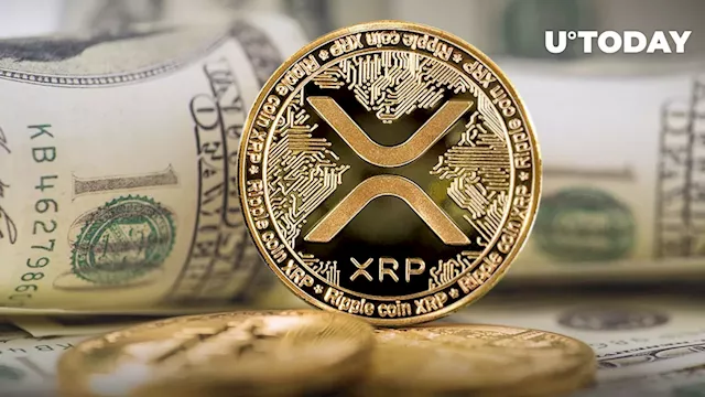 XRP Alert: 19 Million Tokens Move as Market Holds Breath