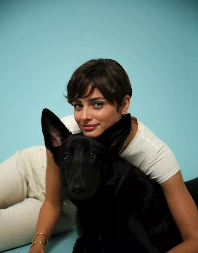 Supermodel Taylor Hill Ventures Into The Pet Industry With Tate And Taylor