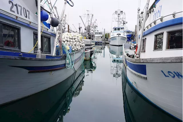 Alaska lawmakers approve task force to consider responses to seafood industry ‘implosion’