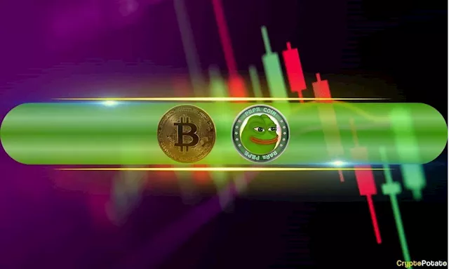 These Meme Coins Explode Daily as Bitcoin Faces Enhanced Volatility (Market Watch)