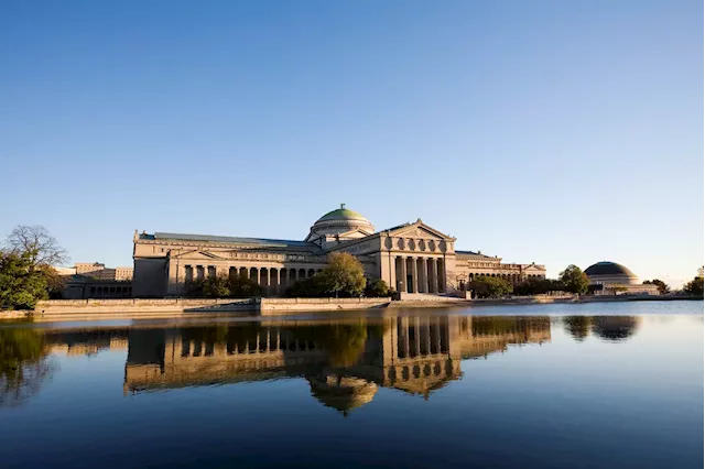 The Museum of Science and Industry will officially have a new name next week