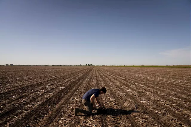 As EV popularity grows, Illinois corn farmers turn to aviation as a possible market for ethanol