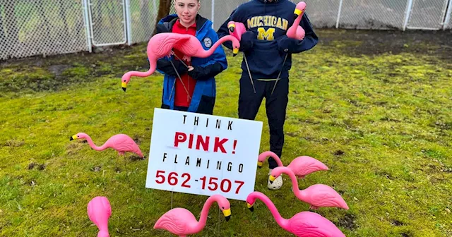 Cape Breton brothers start pink flamingo business