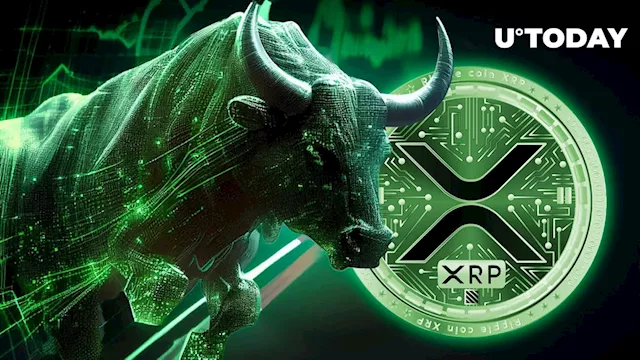 XRP Whales Surge into Bullish Outlook as Market Confidence Skyrockets