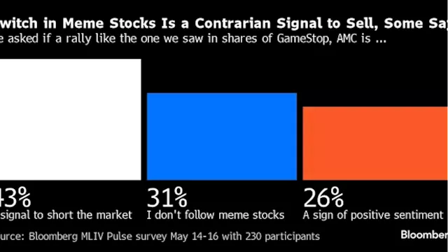 Revival of Meme-Stock Frenzy Points to a Frothy US Stock Market