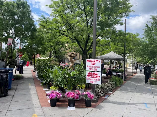 Adams Morgan Farmers Market Grand Opening June 1st!