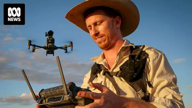 World-first live remote muster by drone at Beef Australia 2024 a sign of thing to come for cattle industry